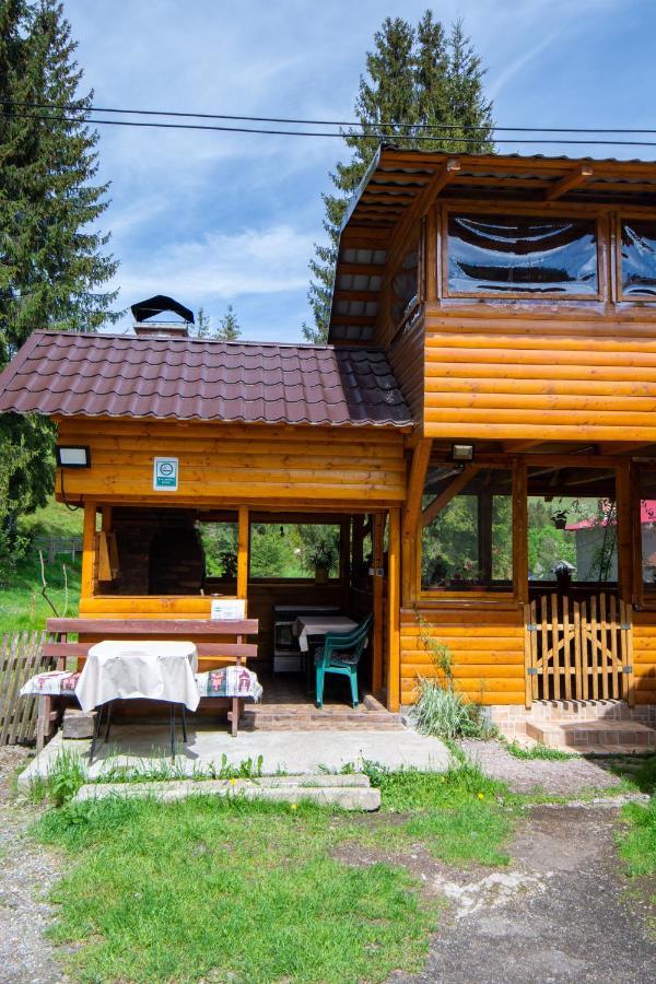 Pensiunea Viorica Arieşeni Extérieur photo