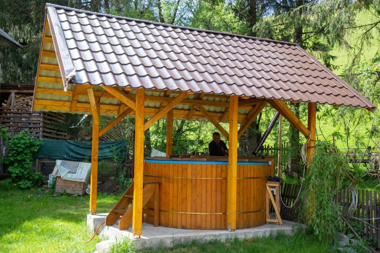 Pensiunea Viorica Arieşeni Extérieur photo