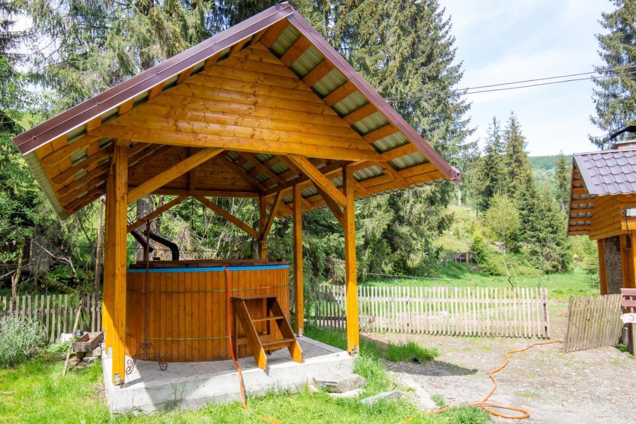 Pensiunea Viorica Arieşeni Extérieur photo