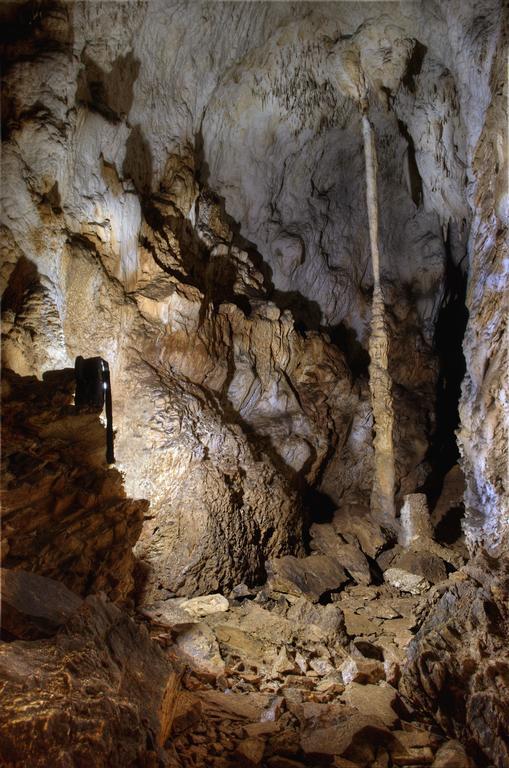 Pensiunea Viorica Arieşeni Extérieur photo
