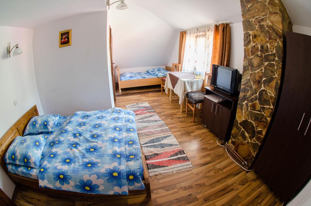 Pensiunea Viorica Arieşeni Extérieur photo