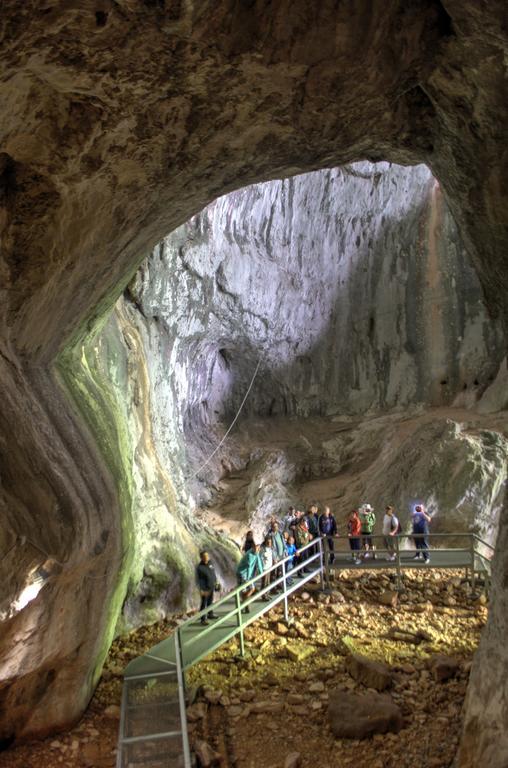 Pensiunea Viorica Arieşeni Extérieur photo
